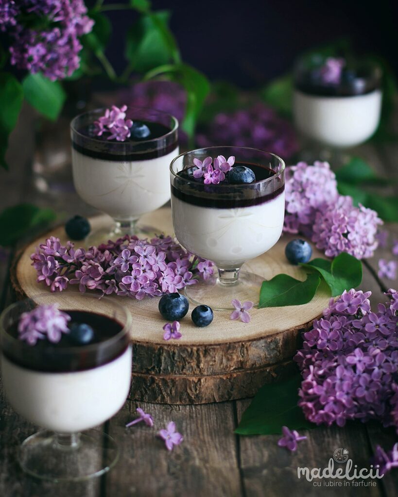 panna cotta cu liliac, miere si afine